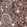 Anti-GAPDH Antibody
