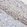 Anti-TLE3 Antibody