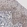Anti-DAXX Antibody