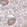 Anti-THSD7A Antibody