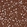 Anti-PRRT2 Antibody