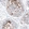 Anti-CT83 Antibody