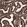 Anti-HIST1H3A Antibody