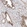 Anti-HIST1H3A Antibody