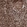 Anti-H2AFY Antibody