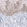 Anti-CUX1 Antibody