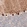 Anti-PCP4 Antibody