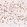 Anti-FOXP2 Antibody