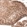 Anti-AUTS2 Antibody