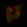 Anti-POU5F1 Antibody