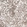 Anti-CDK2 Antibody