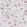Anti-TMEM119 Antibody