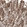 Anti-PIK3CB Antibody