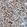 Anti-HMOX1 Antibody