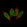 Anti-GLI1 Antibody