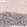 Anti-GLI1 Antibody