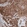 Anti-GSPT1 Antibody