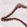 Anti-PROX1 Antibody
