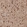Anti-SORT1 Antibody