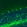 Anti-NEFM Antibody