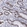 Anti-HMGN5 Antibody