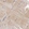Anti-ADSL Antibody