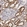Anti-XPNPEP3 Antibody