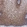 Anti-MAST4 Antibody