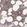 Anti-BID Antibody