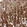 Anti-RDX Antibody