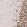 Anti-POLR2F Antibody