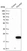 Anti-POLR2F Antibody