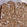 Anti-EIF5 Antibody