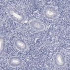 Immunohistochemical staining of human endometrium shows no positivity in glandular cells as expected.