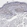 Anti-NGDN Antibody