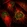 Anti-NGDN Antibody