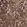 Anti-TXN2 Antibody