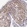Anti-PRPF39 Antibody