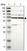 Anti-PRPF39 Antibody