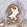 Anti-RAB27A Antibody