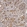 Anti-CHUK Antibody