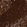 Anti-PTPN6 Antibody