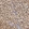 Anti-ZNF133 Antibody