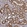 Anti-HSPD1 Antibody