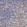 Anti-TLR8 Antibody