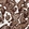 Anti-FBLN1 Antibody