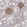 Anti-TJP1 Antibody