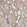 Anti-ZNF75A Antibody