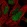 Anti-FOXP2 Antibody