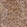 Anti-APOBEC3G Antibody